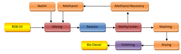 biodiesel proses